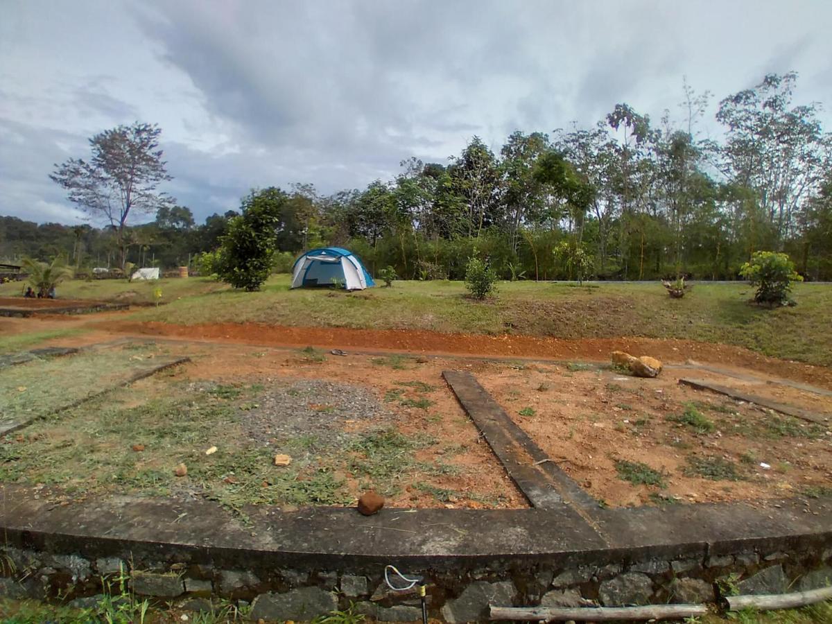 Tranquil Farms Farm stay